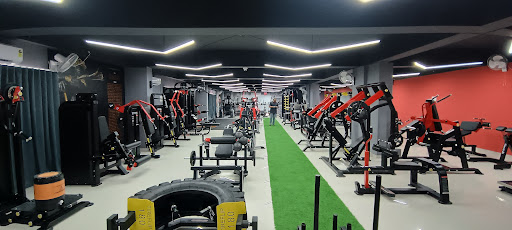 Power Gym Premium