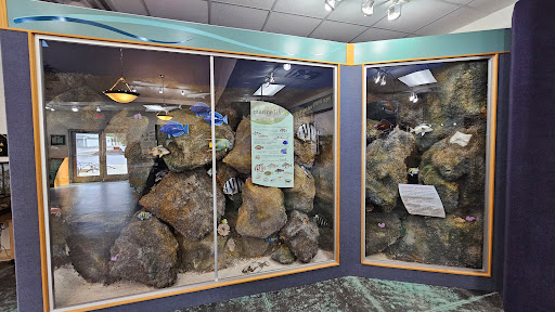 Environmental Interpretive Center - Visual