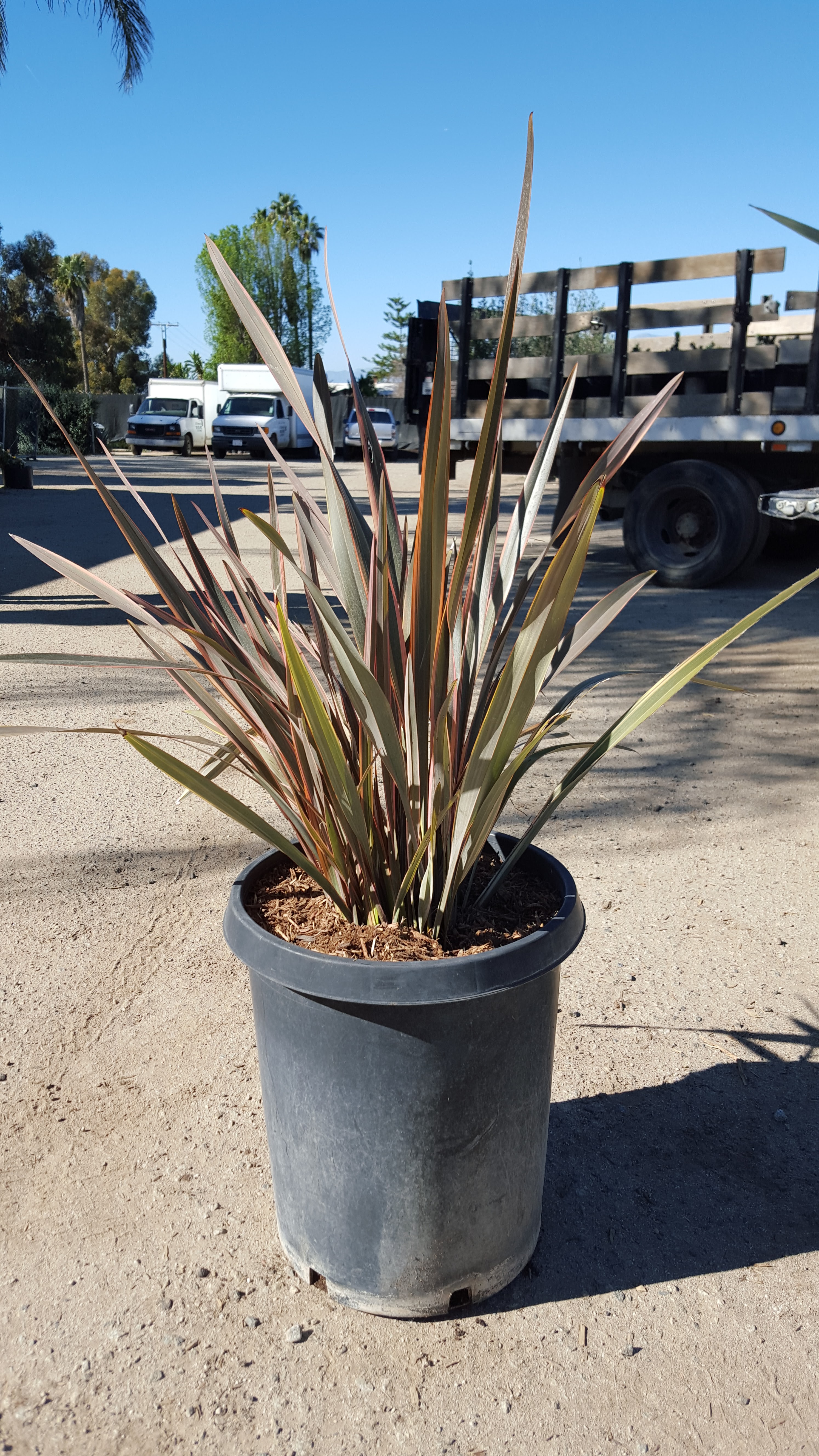 A & F Growers, Inc.