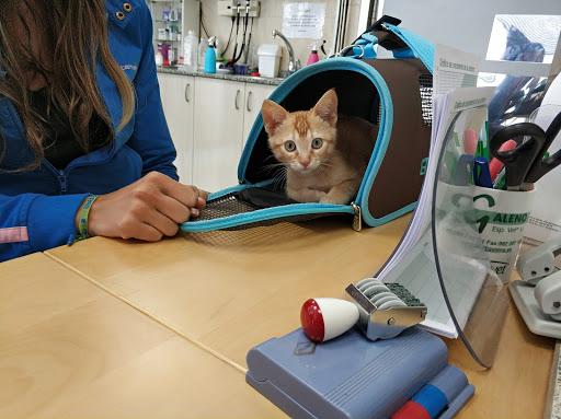 Cristina Veterinarios - Clinica veterinaria en Naron