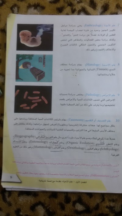 Photos of مول جوهرة العرب