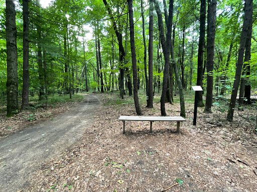 Lightning Bend Park