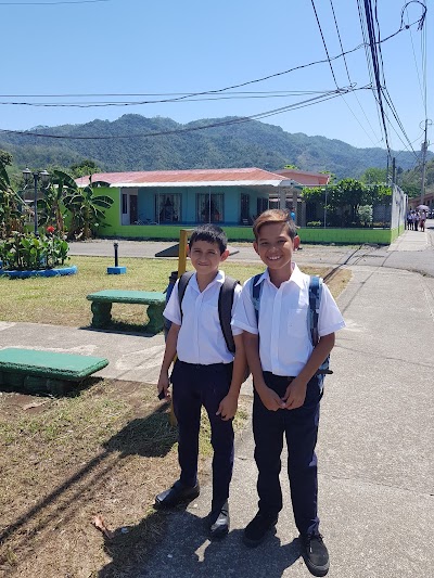 school