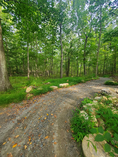Lake Rogerene Trailhead - Thumbnail