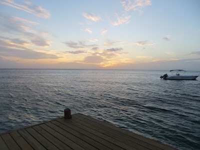 Photos of Las Rocas Resort and Dive Center