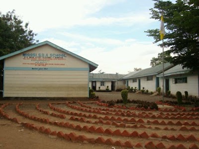 school