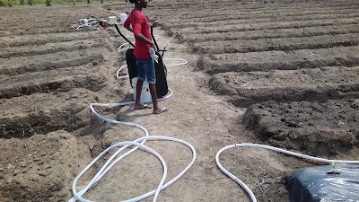 Photos of Gift - Gaja Farms