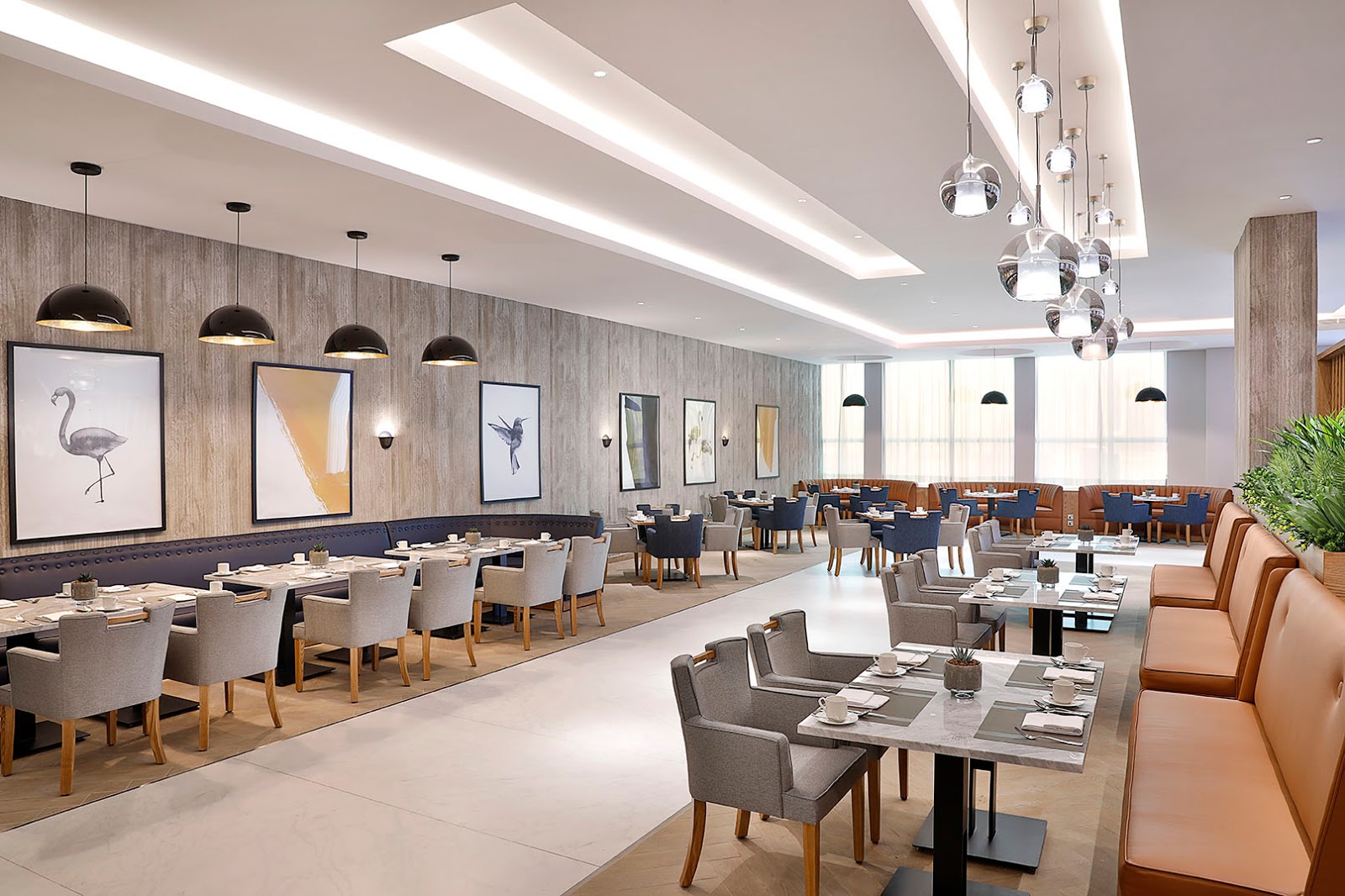 فوكو - صورة 2