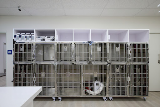 Grace Animal Hospital | Downey - Thumbnail