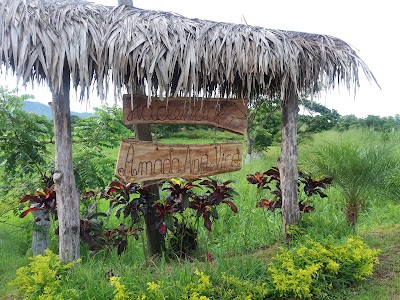 Photos of Mangroves Ecological Reserve Churte