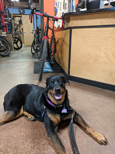 Western Bikeworks - Thumbnail
