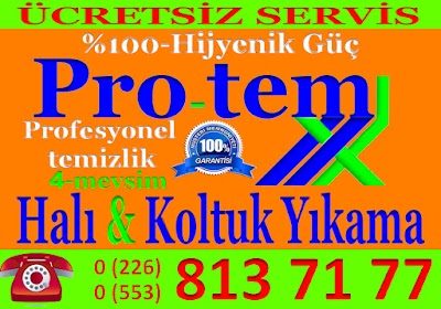 Photos of Yalova Protem Hali Yikama / merkez / YALOVA