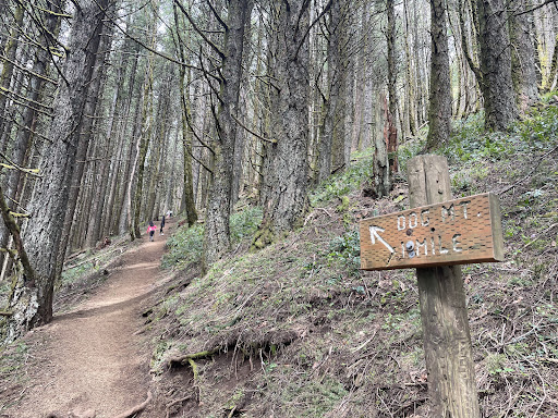 Dog Mountain Trail - Thumbnail