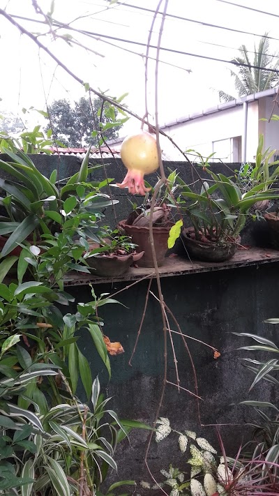 Photos of Dharmashoka Mawatha