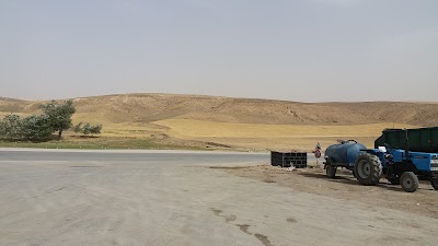 Photos of Station Service Zidani Meftah