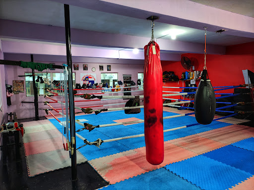 Kelab Muay Thai Gomo