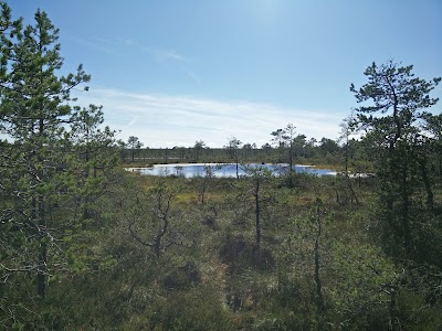 Photos of Liiapeksi-Aegviidu matkarada