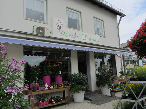 Dosch Blumen - Visual