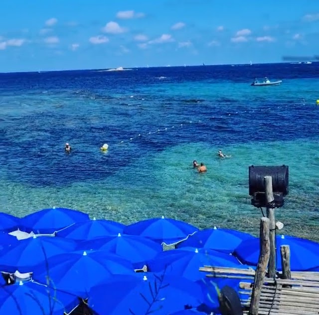 Plage des Salins