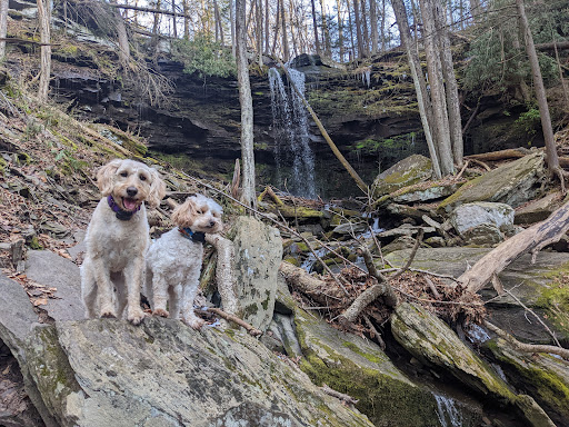 Jacoby Falls - Visual