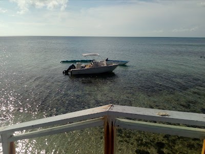 Photos of Careys