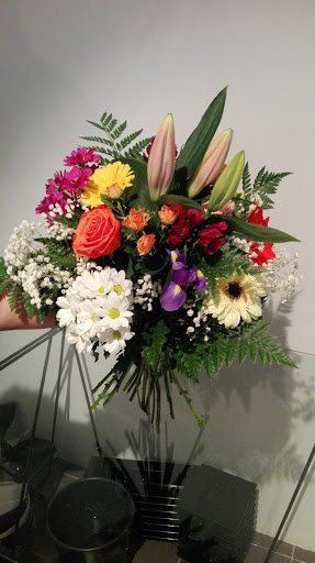 QARTE floristas Gallery - Spain
