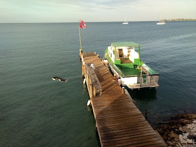 Photos of Paradise Divers