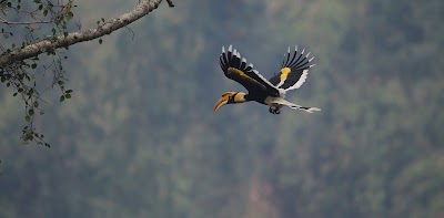 Photos of Jomotsangkha Wildlife Sanctuary