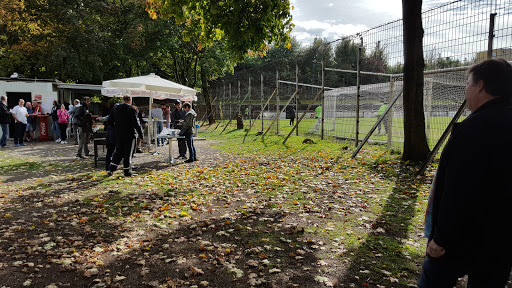 Duisburger FV 08 e.V. - Thumbnail