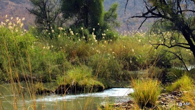 Photos of Omunjandi Restcamp