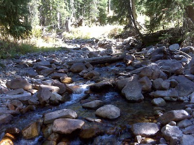 Jedediah Smith Wilderness