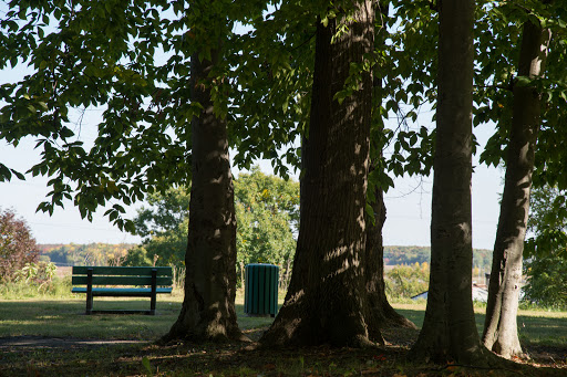 Parc de la Principale - Thumbnail