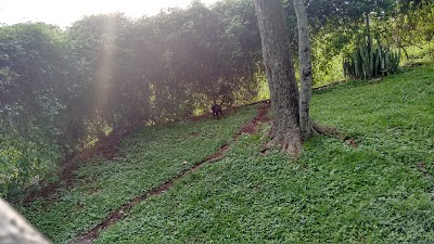 park