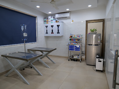 Max vets clinic- Best Veterinary hospital and clinic in Shanti Niketan, South Delhi