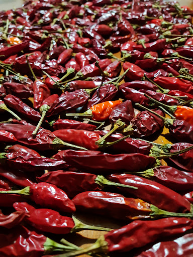 MEDITERRANEO GUSTO - Thumbnail