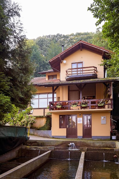 Photos of Motel &Scaron;umski raj