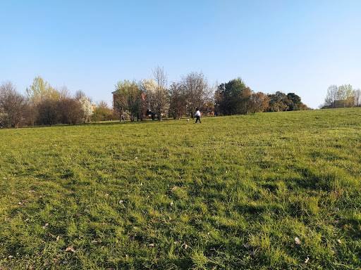 Parco Maggiolino - Thumbnail