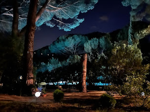 Photo n°48 de La Bastide des Pins à Castillon-du-Gard (Appartement de vacances)