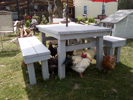 Willowdale Farm - Thumbnail