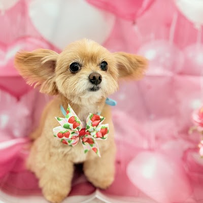 MITCHELMO【ミッチェルモ】