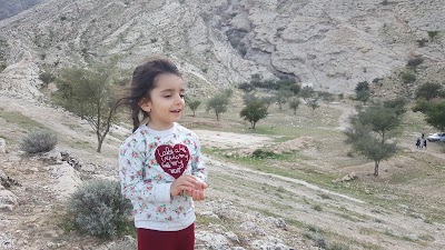 Photos of امامزاده میرعطار قلعه سید
