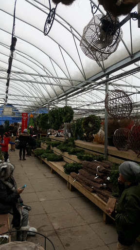 St Mary's Nursery & Garden Centre Ltd - Thumbnail