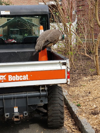 Staten Island Zoo Parking Lot