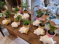 （有）おおくぼ生花店