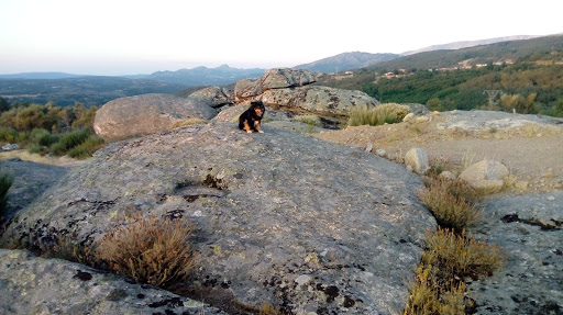 Los Canchales De La Torreta - Thumbnail