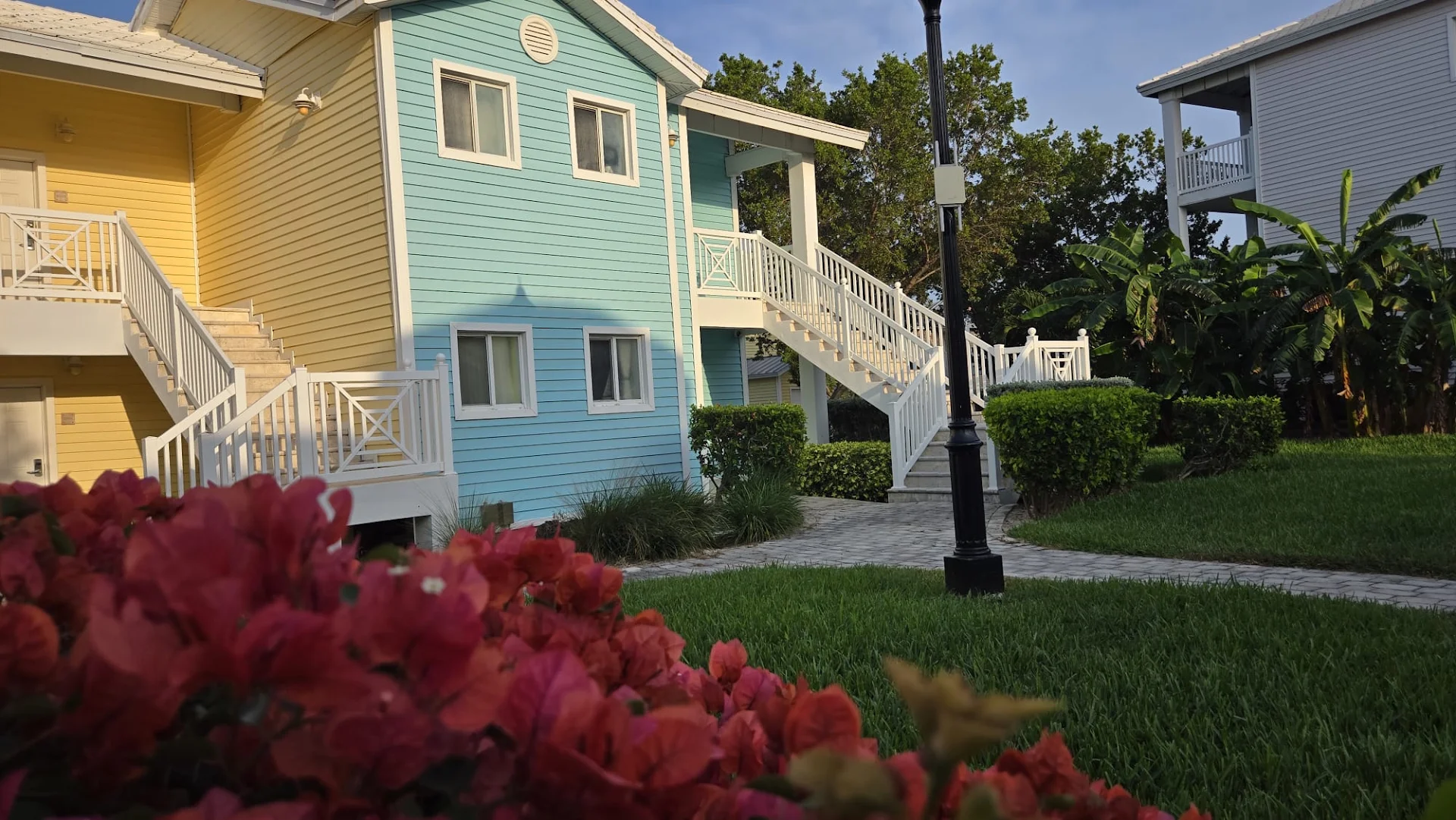 Bimini Studio 33312