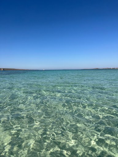 Punta Arena - Visual