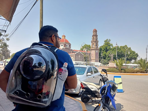Forrajes La Catedral - Thumbnail