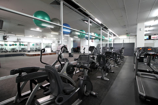 Fitbodz