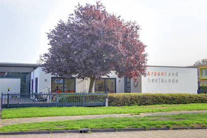 Kraan Tandheelkunde Brédyk